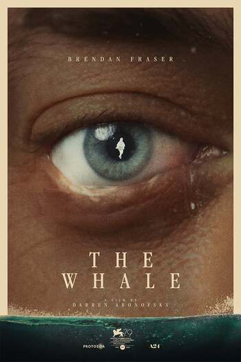 Read more about the article The Whale (2022) English [Subtitles Added] WEB-DL Download 480p [400MB] | 720p [850MB] | 1080p [2.2GB]