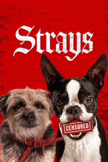 Read more about the article Strays (2023) Dual Audio [Hindi-English] WEB-DL Download 480p [270MB] | 720p [750MB] | 1080p [1.8GB]