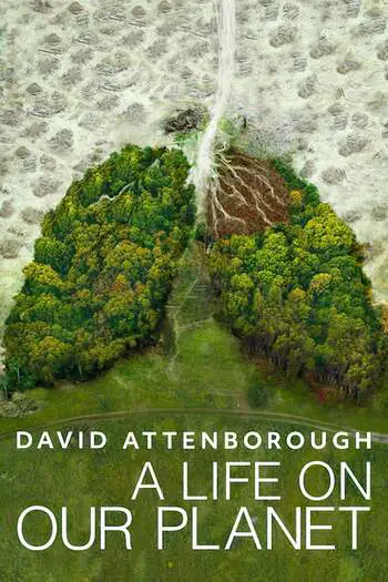 Read more about the article David Attenborough: A Life on Our Planet (2020) English [Subtitles Added] WEB-DL Download | 480p [400MB] | 720p [800MB] | 1080p [1.3GB]