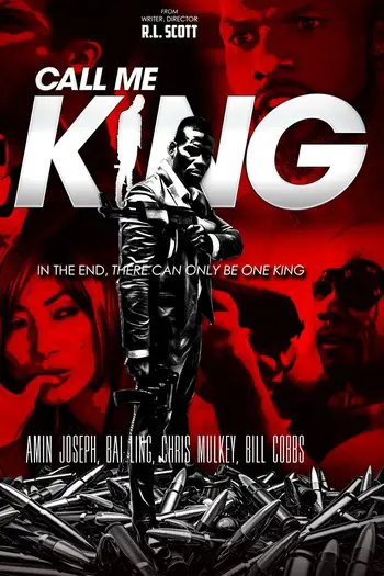 Read more about the article Call Me King (2017) WEB-DL Dual Audio {Hindi-English} Download 480p [400MB] | 720p [1.2GB] | 1080p [2.2GB]